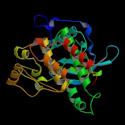 1T45 - X-ray

